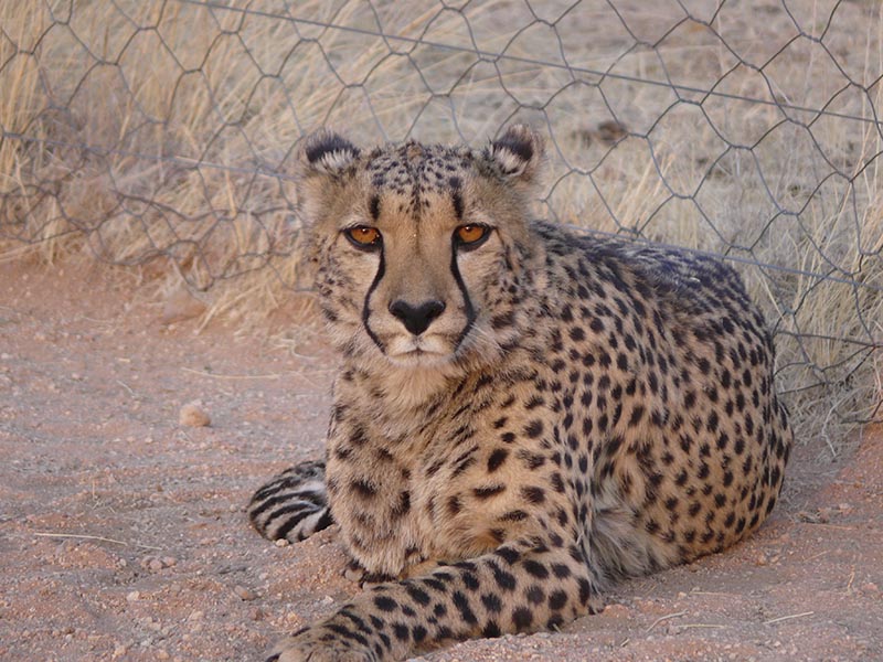 Namibia064.JPG