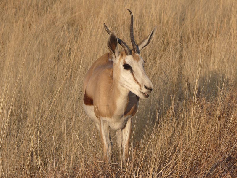 Namibia132.JPG