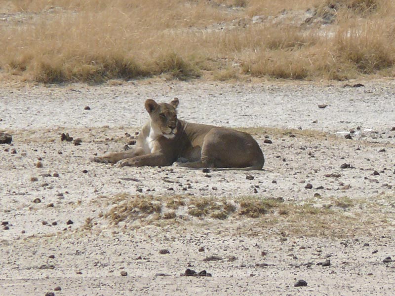 Namibia138.JPG