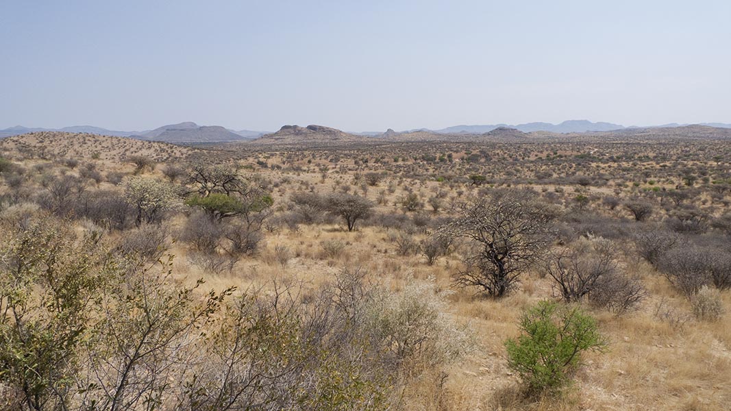 Namibia184.jpg