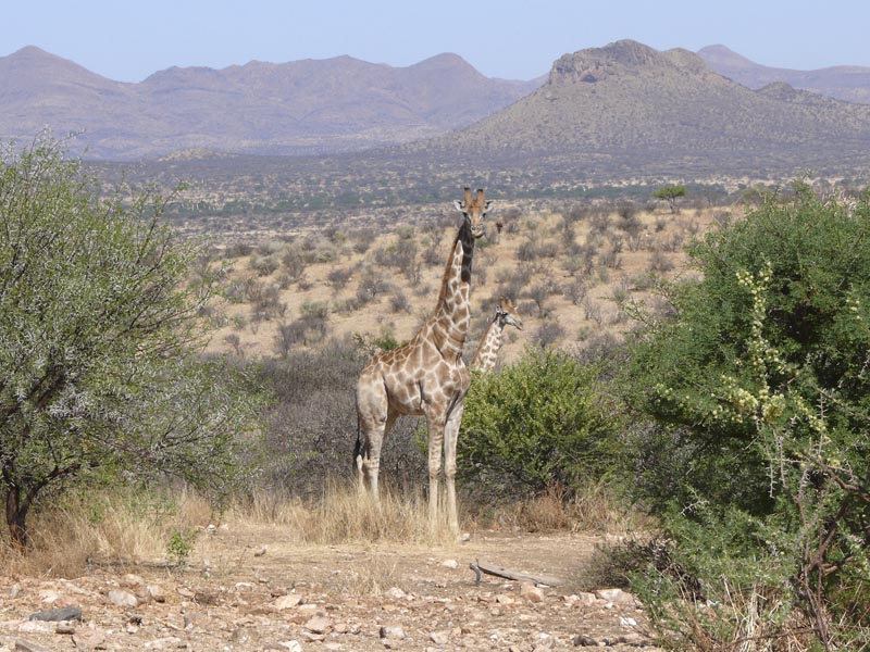 Namibia190.JPG