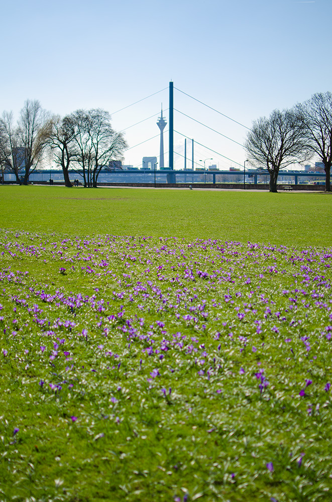 dusseldorf01.jpg