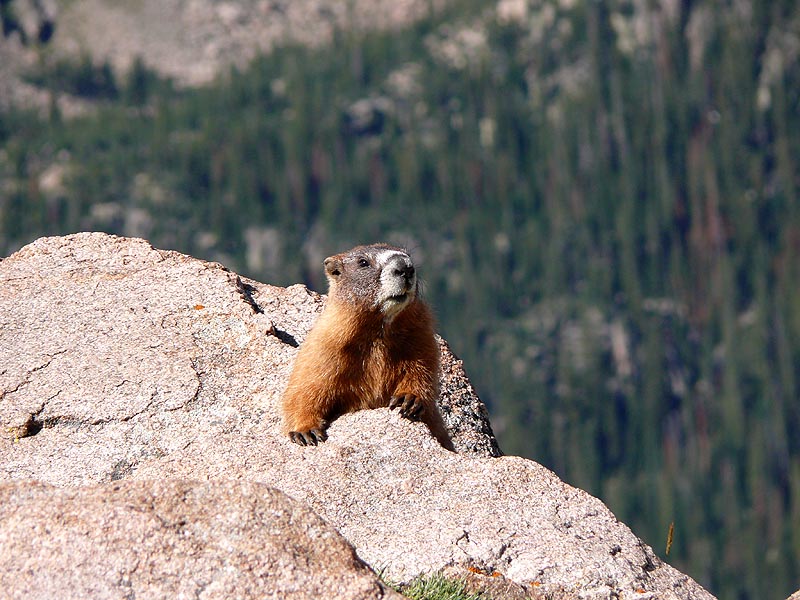 rockies011.JPG