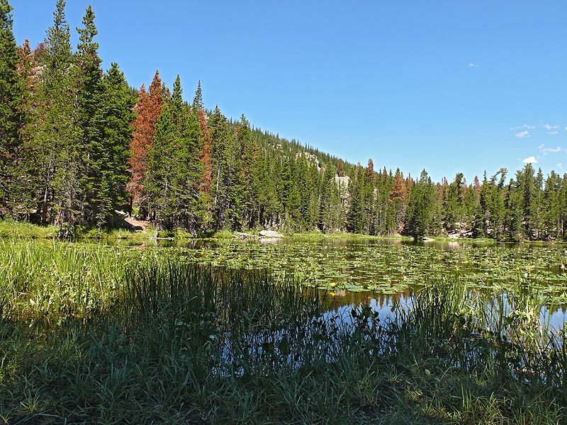 rockies014.JPG