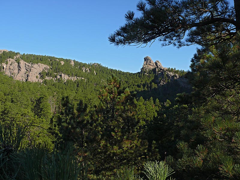 rockies049.JPG