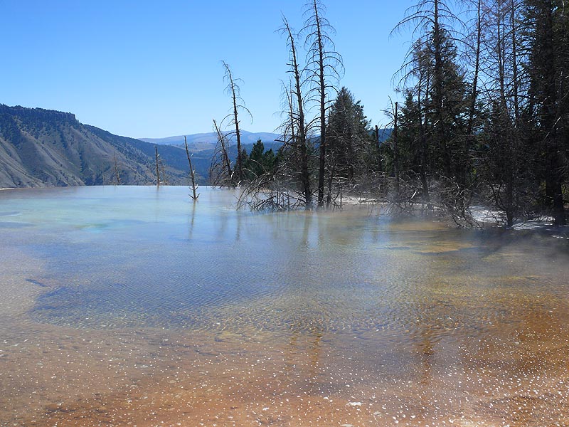 rockies099.JPG
