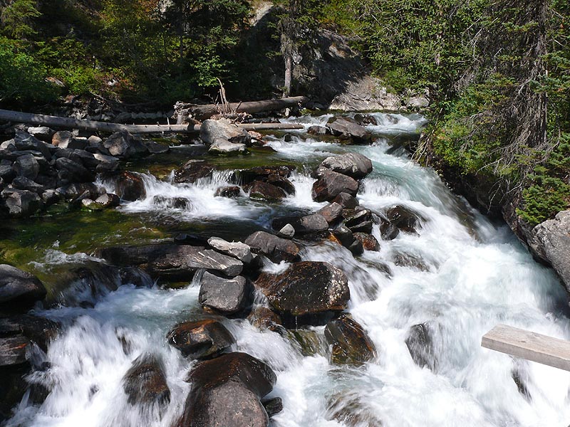 rockies108.JPG