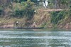 Nun also auf dem Mekong bis zur Grenze zu Kambotscha.