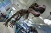 ... ist berühmt für die Dinos.