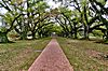 Oak Alley Plantation